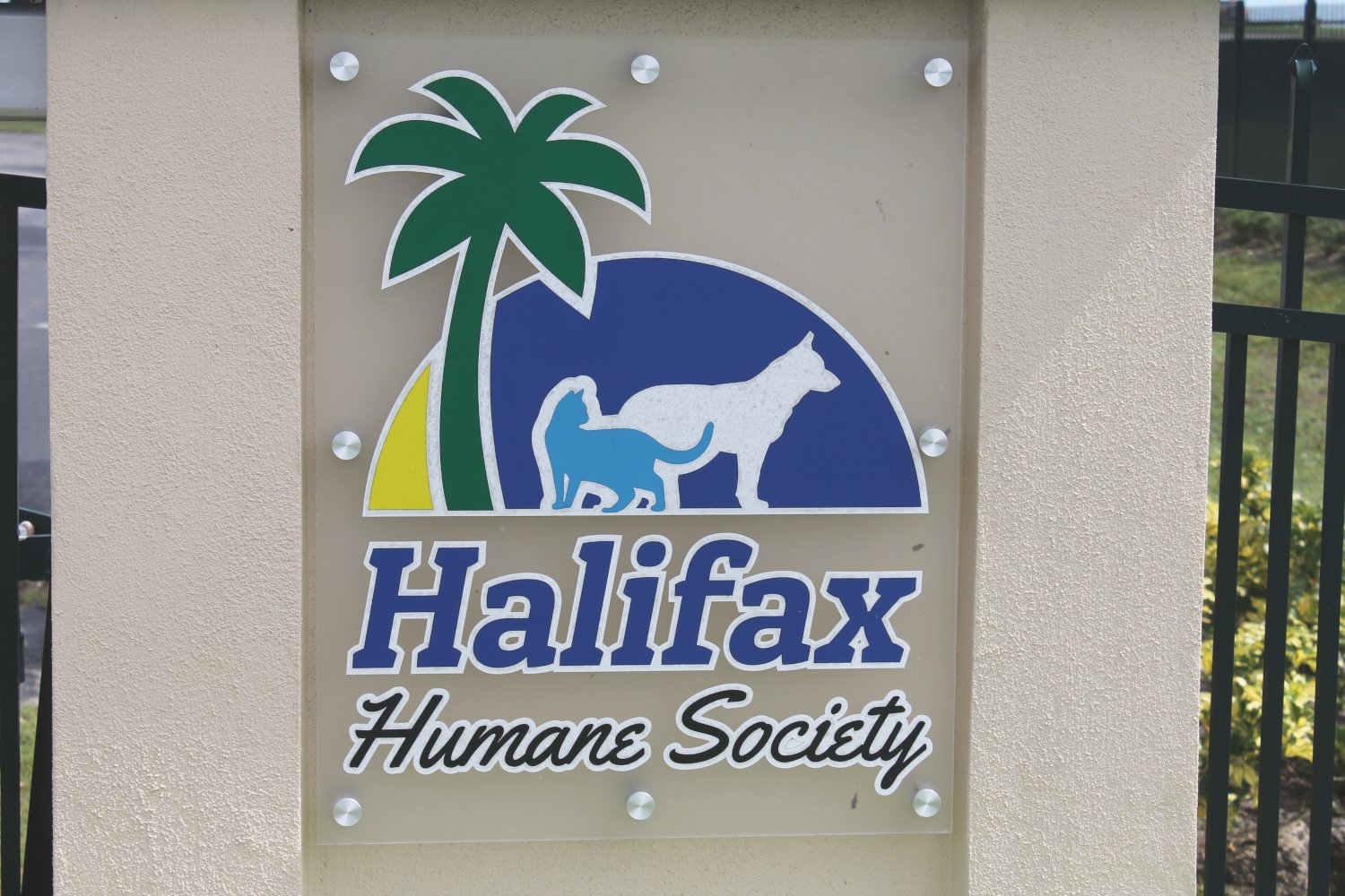 Helping Hands Ways To Support Halifax Humane Society WNDB News